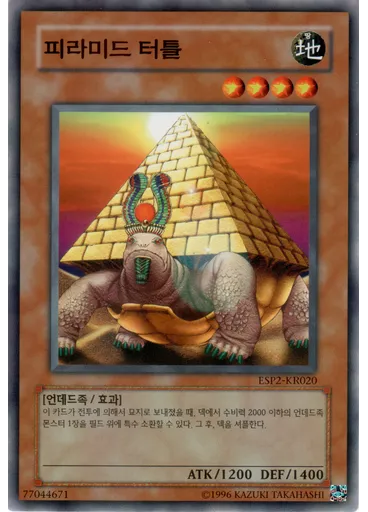 피라미드 터틀