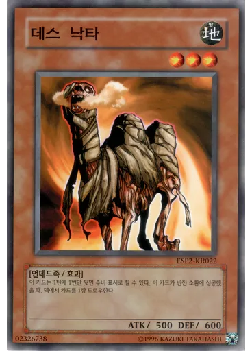 데스 낙타