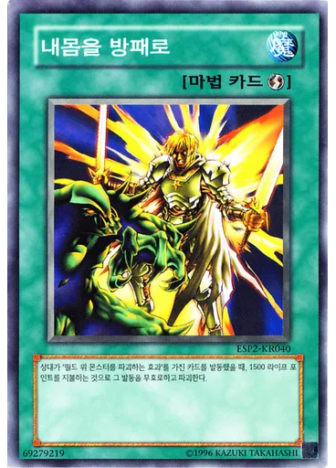 내몸을 방패로