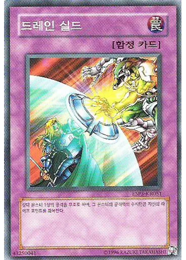 드레인 실드