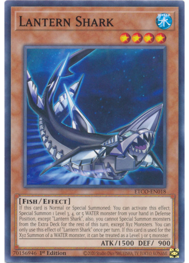 Lantern Shark