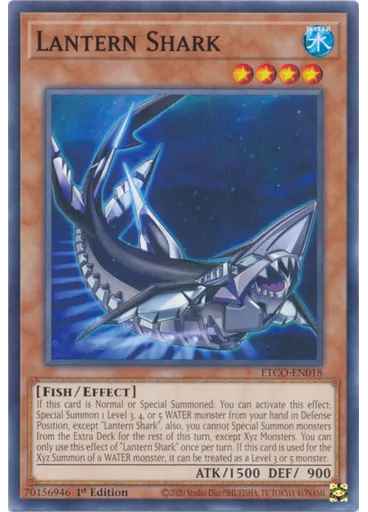 Lantern Shark