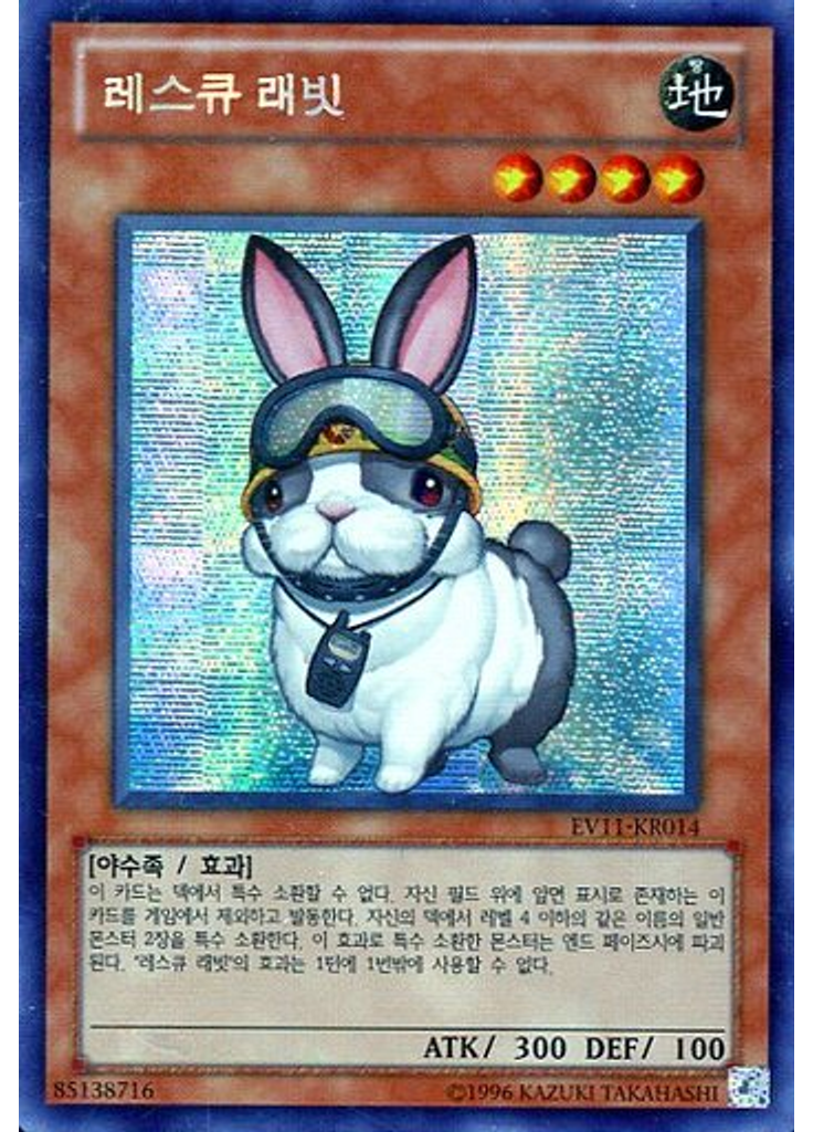레스큐 래빗