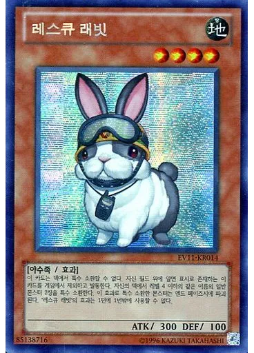레스큐 래빗