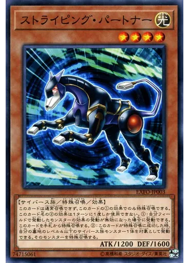 ストライピング・パートナー