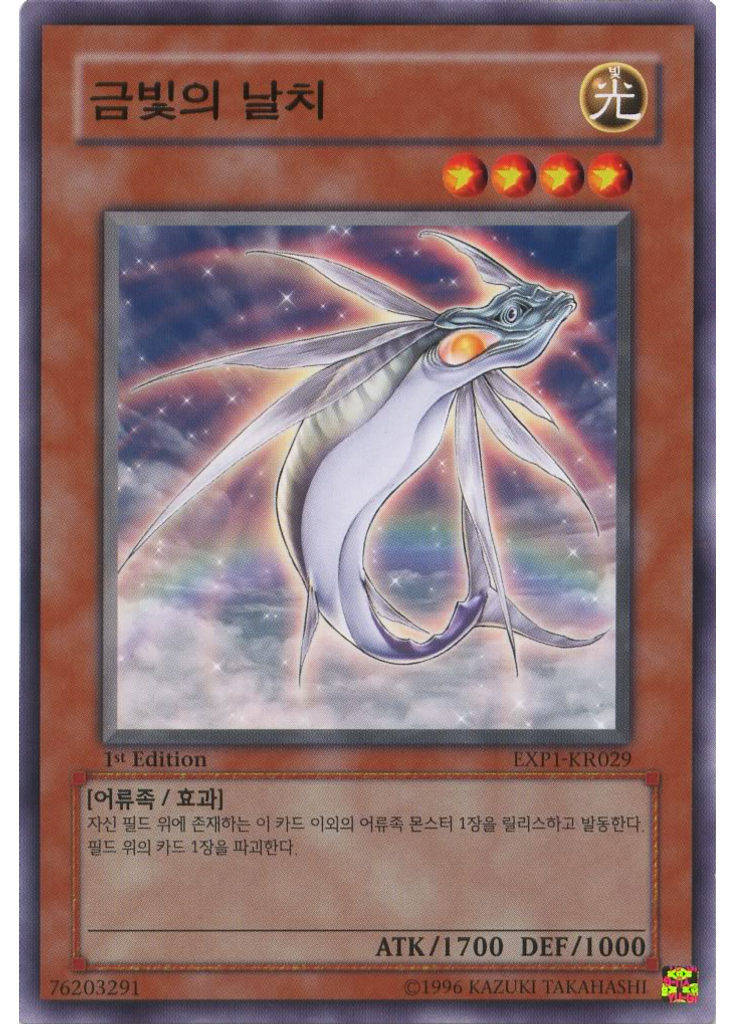 금빛의 날치