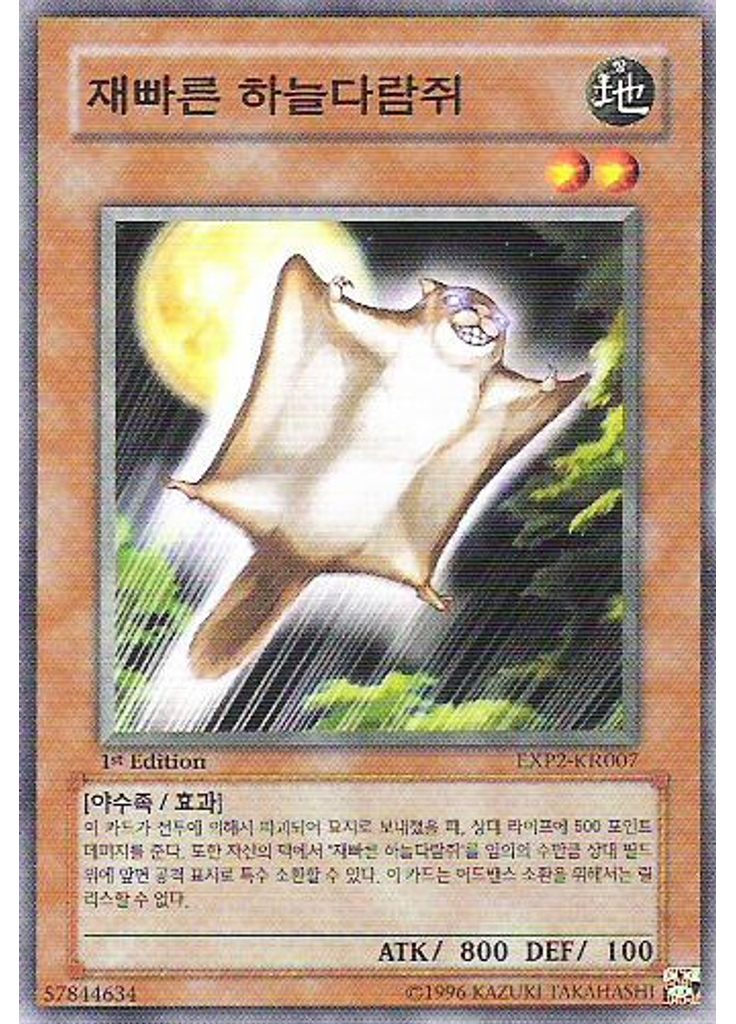 재빠른 하늘다람쥐