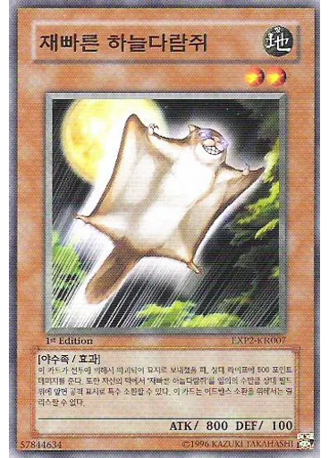 재빠른 하늘다람쥐