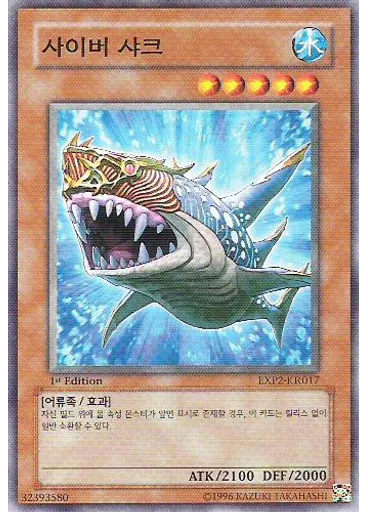 사이버 샤크