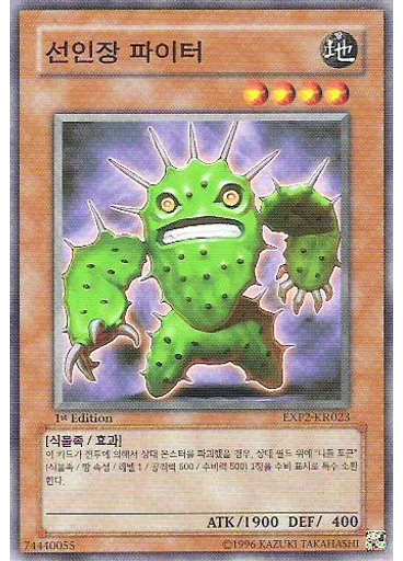선인장 파이터