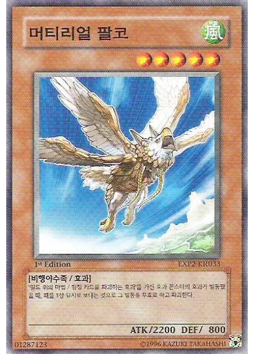 머티리얼 팔코