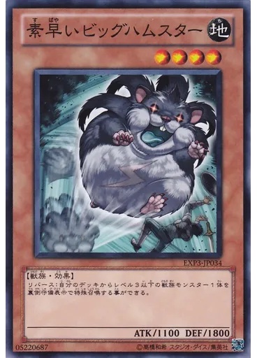 素早いビッグハムスター