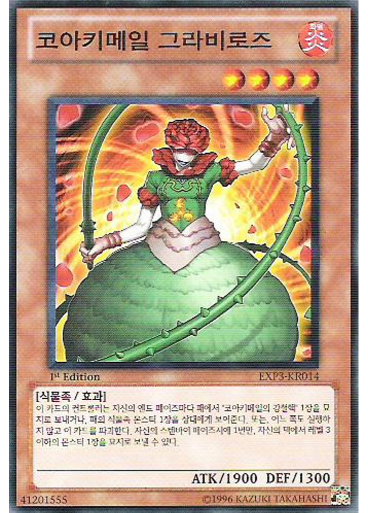 코아키메일 그라비로즈