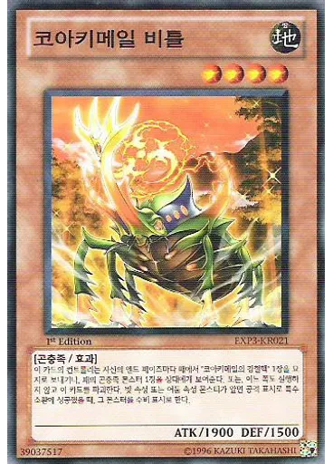 코아키메일 비틀