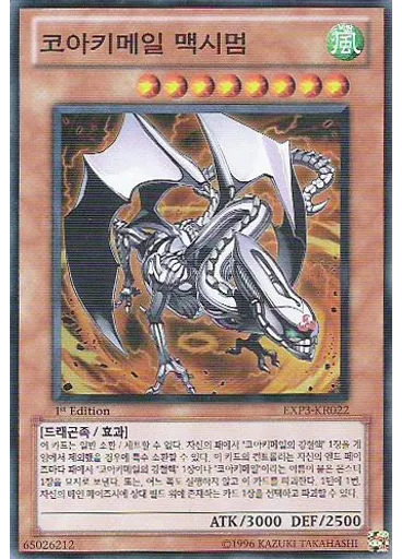 코아키메일 맥시멈