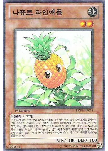 냐츄르 파인애플