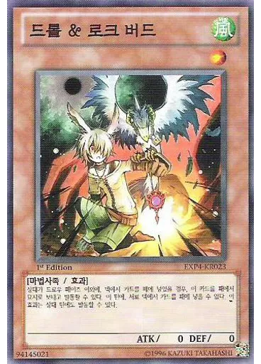 드롤 & 로크 버드