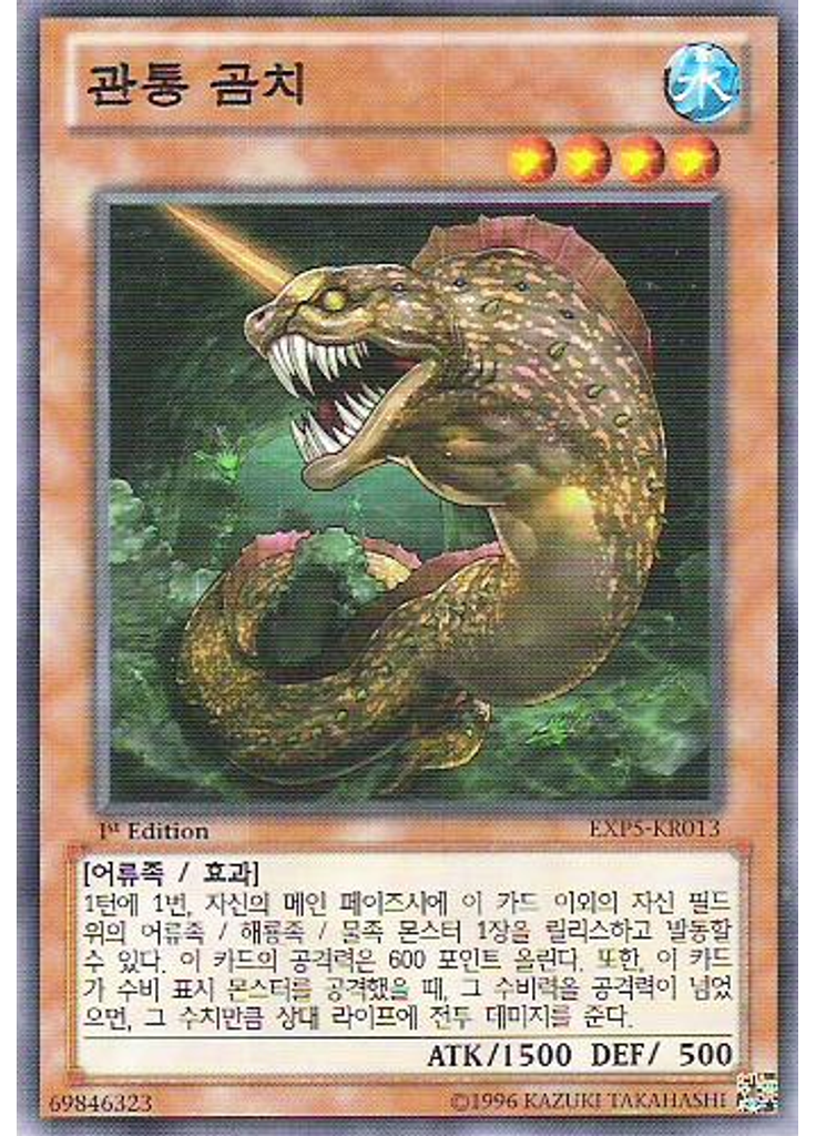 관통 곰치