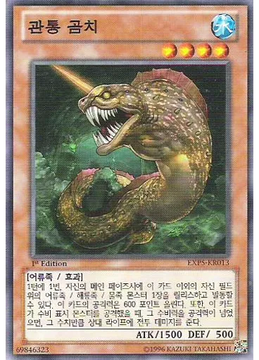 관통 곰치