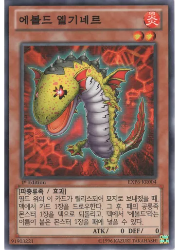 에볼드 엘기네르