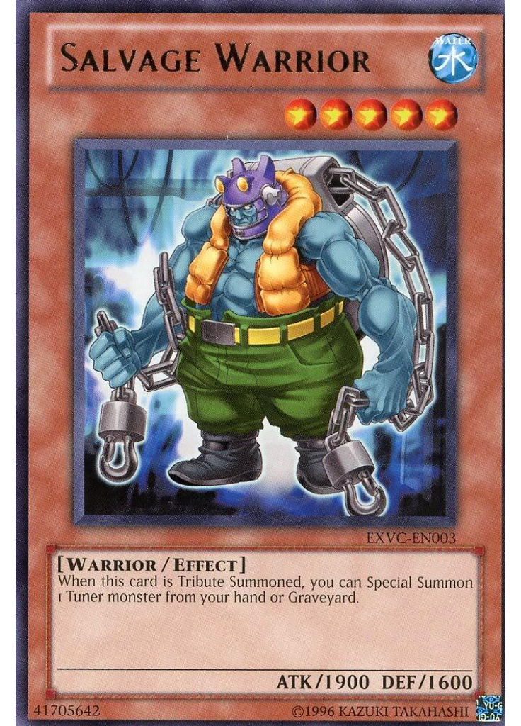 Salvage Warrior (Rare Unlimited)