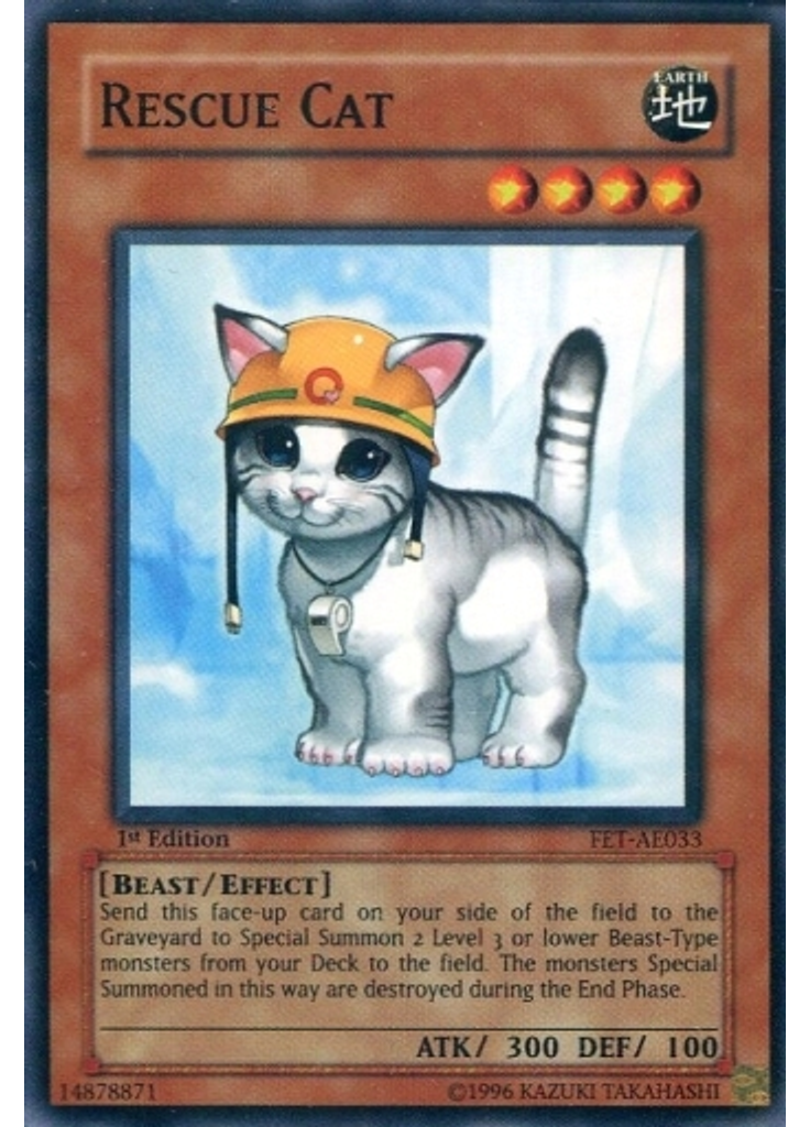 Rescue Cat