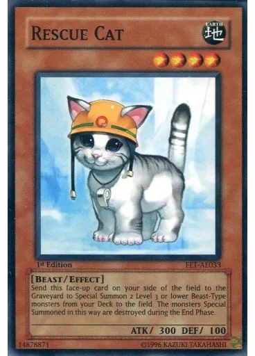 Rescue Cat
