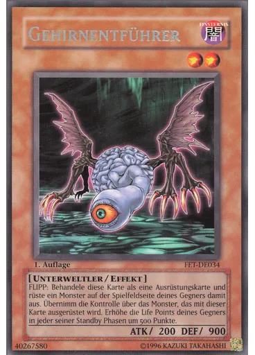 Gehirnentführer