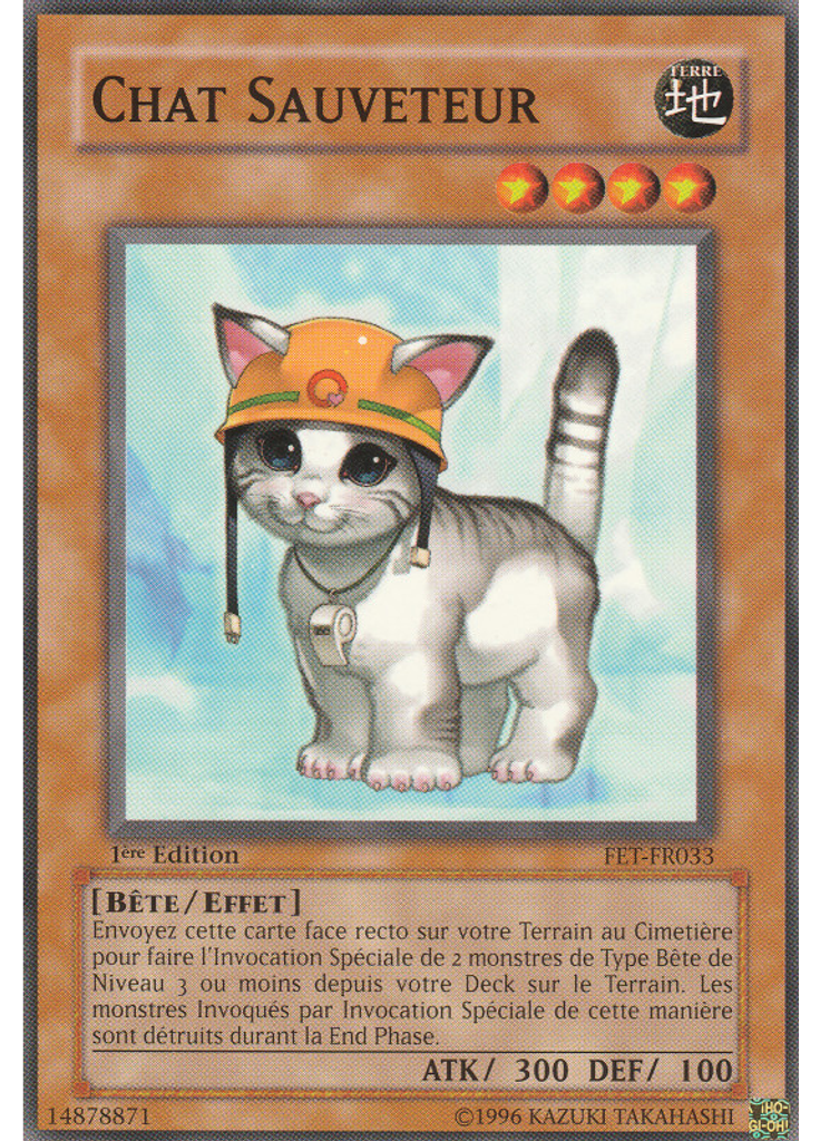 Chat Sauveteur
