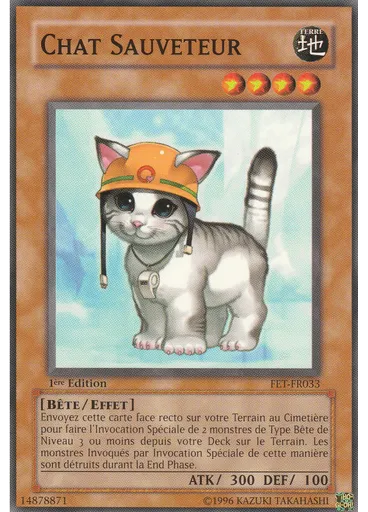 Chat Sauveteur