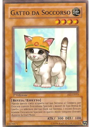 Gatto da Soccorso