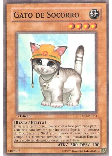 Gato de Socorro