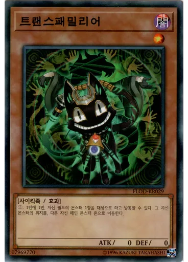 트랜스패밀리어