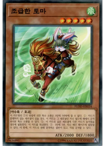 조급한 토마