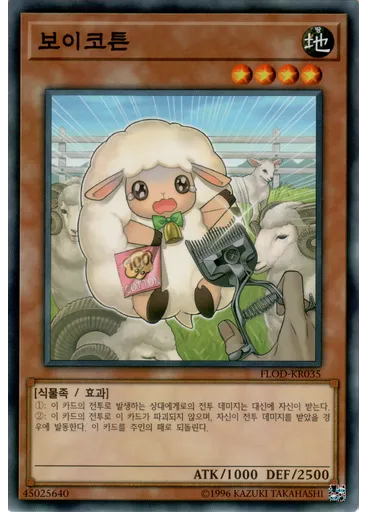 보이코튼