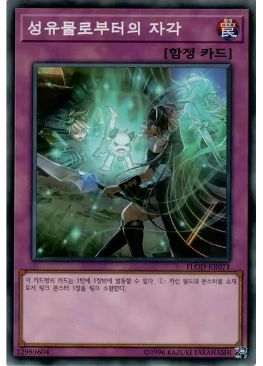 성유물로부터의 자각