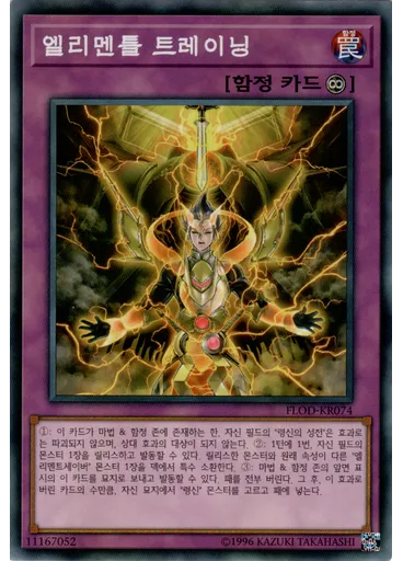 엘리멘틀 트레이닝
