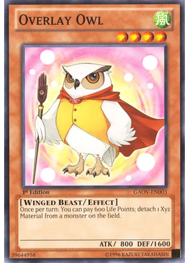 Overlay Owl