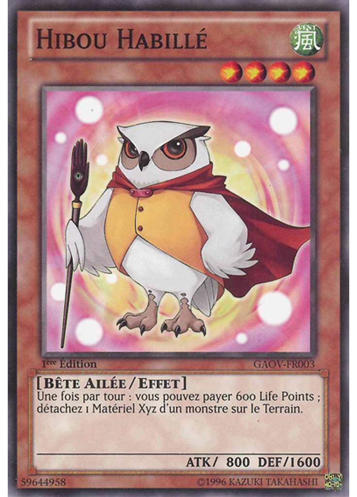 Hibou Habillé