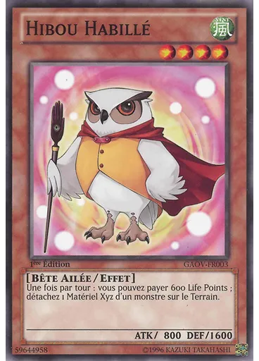 Hibou Habillé