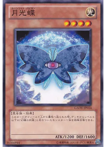 月光蝶