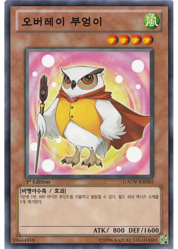 오버레이 부엉이