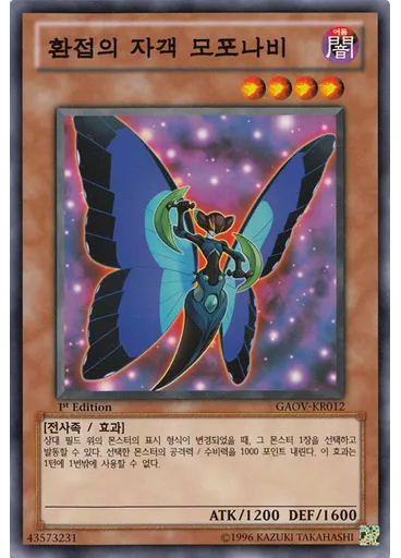 환접의 자객 모포나비