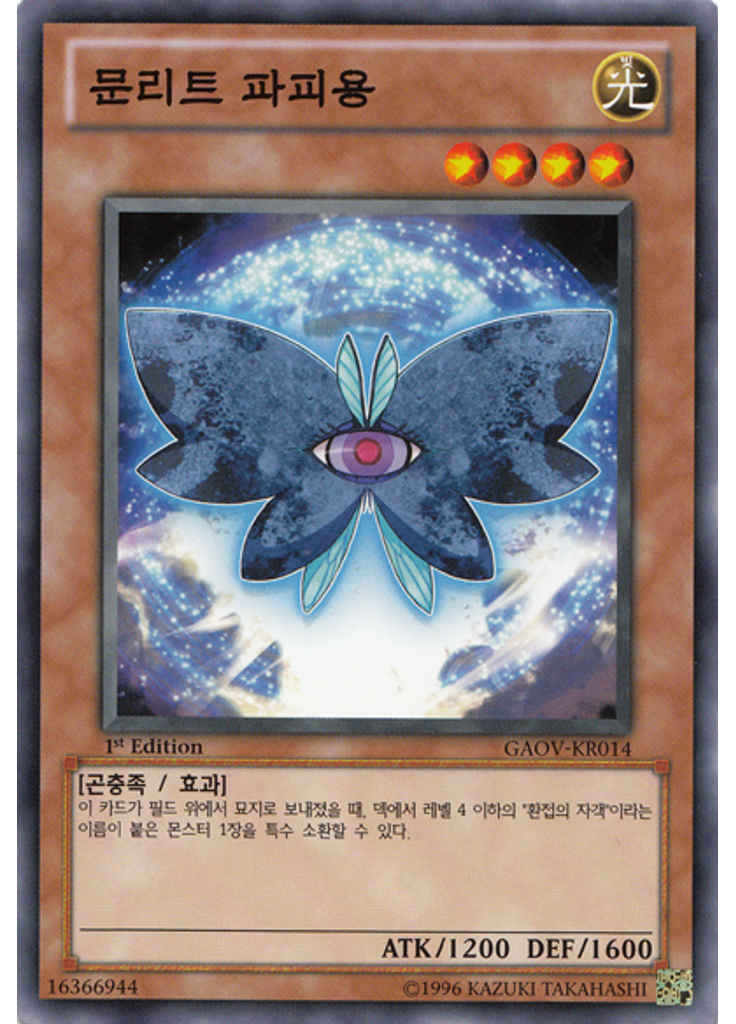 문리트 파피용
