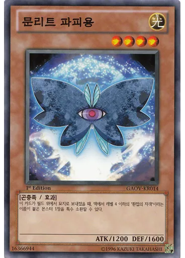 문리트 파피용