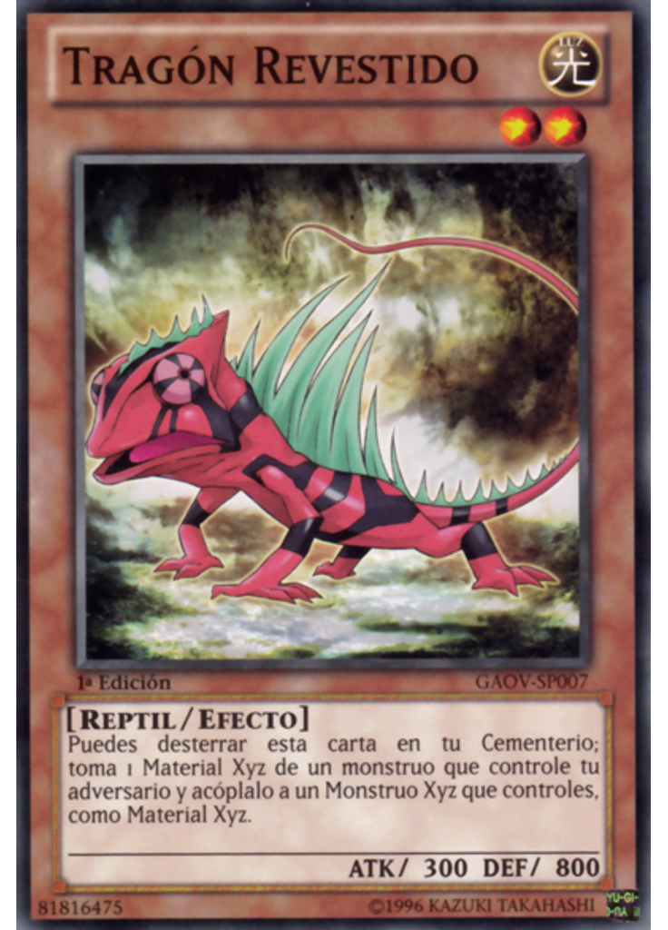 Tragón Revestido