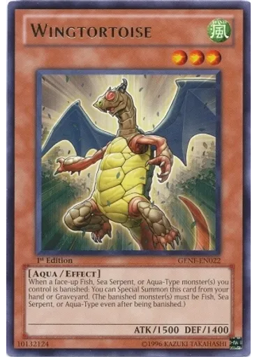 Wingtortoise