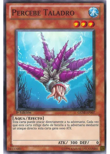 Percebe Taladro