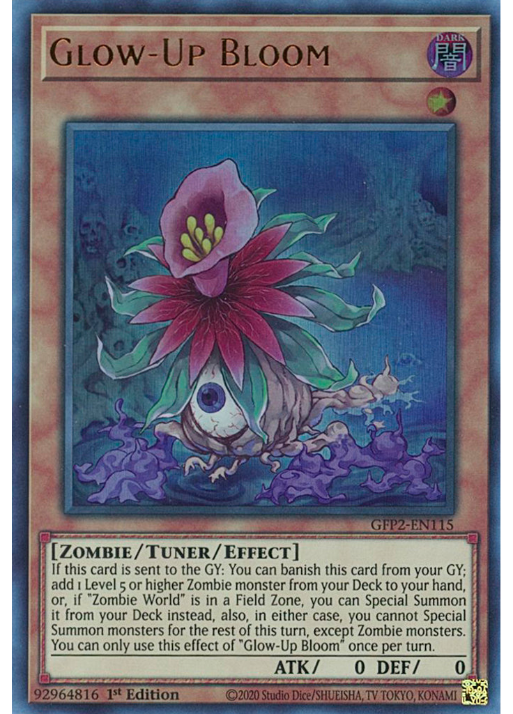 Glow-Up Bloom