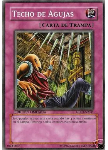 Techo de Agujas
